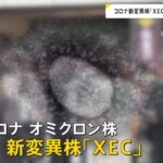 最新のコロナ変異株「XEC」