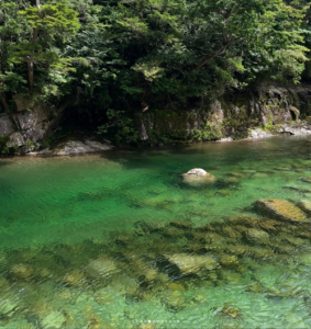 安房川