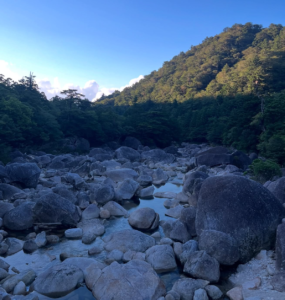 屋久島
