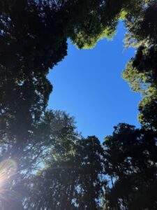 困ったときはチャンス